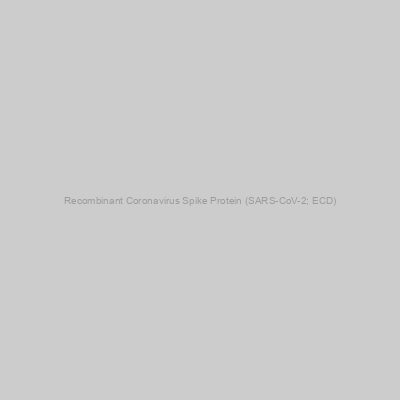 Recombinant Coronavirus Spike Protein (SARS-CoV-2; ECD)